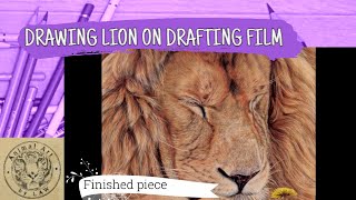 Coloured Pencil on Drafting Film - Sleepy Lion - Timelapse