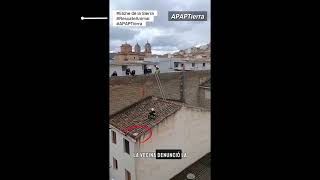 Gato rescatado en un tejado por bomberos SEPEI #APAPTierra #rescateanimal