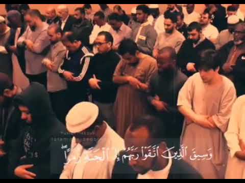 الله يبارك فيك يا عم الشيخ