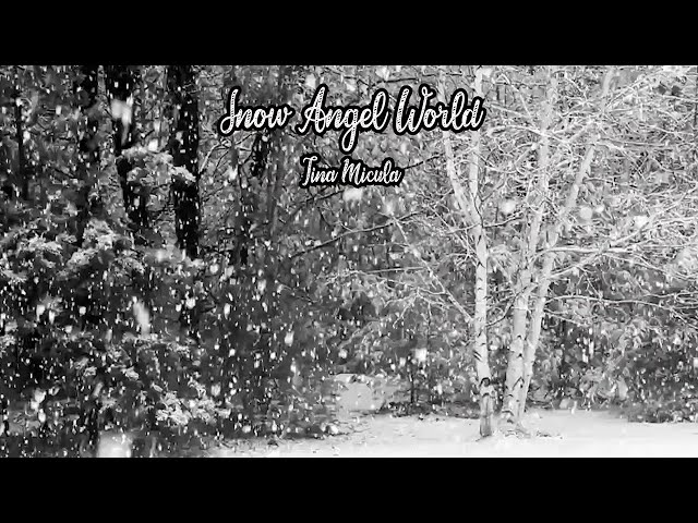 Tina Micula - Snow Angel World