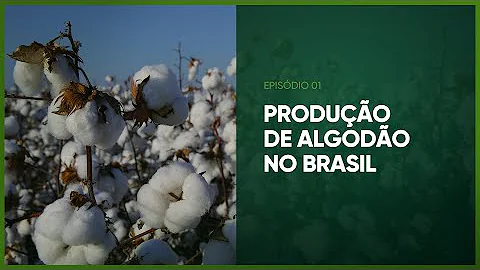 Como é feita a comercialização do algodão?