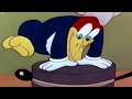 Who's Cookin' Who | Woody Woodpecker | Full Episode Compilation | Old Cartoons | Retro Bites