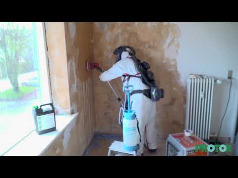Video: Sopp på veggene. Hvordan bli kvitt det?