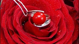 Циркон С. Коралл прекрасный как любовь.
