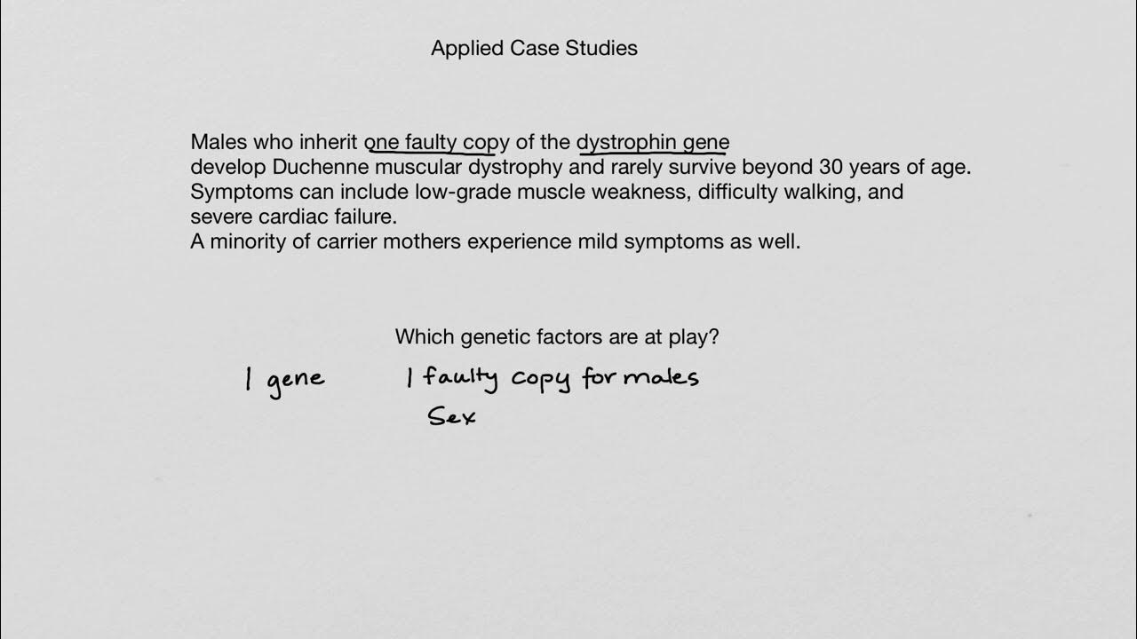 2 Example Case Studies YouTube