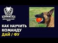 Команда Дай / Фу | Как научить бельгийскую овчарку малинуа кусаться | Тест собаки | Первое занятие