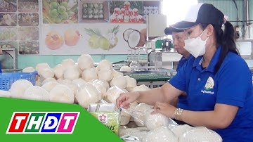 Lô hàng dừa tươi đầu tiên từ Tiền Giang xuất sang Trung Quốc | THDT