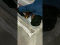 #shortvideo #trendingshorts #viralshorts #shorts