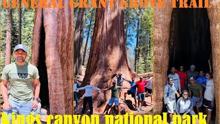 Grant Grove Trail - Kings Canyon National Park