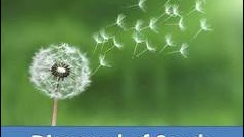 Seeds and Seeds : Explanation Part 2 Class 5 EVS CBSE