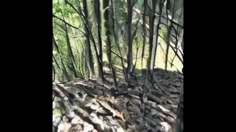 The Best of ModelScope Text to Video Synthesis