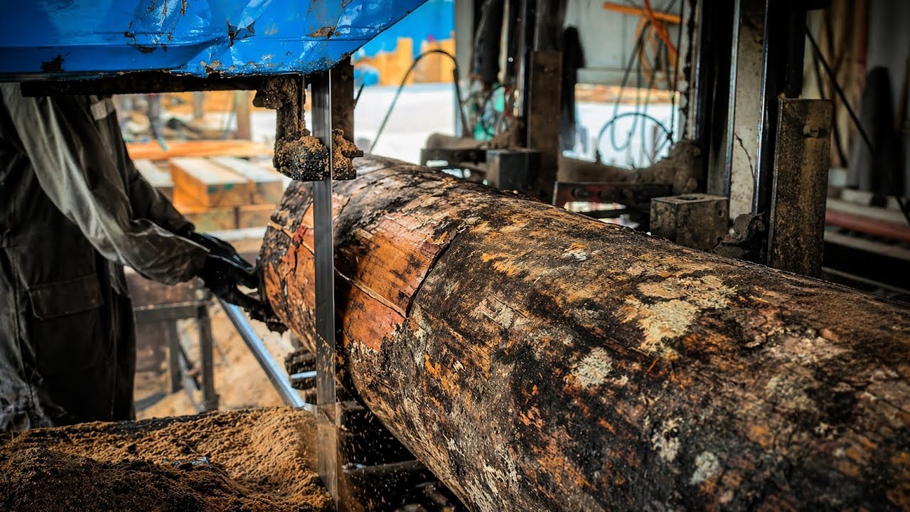 Satisfying Giant Log Cutting at a Traditional Sawmill - YouTube