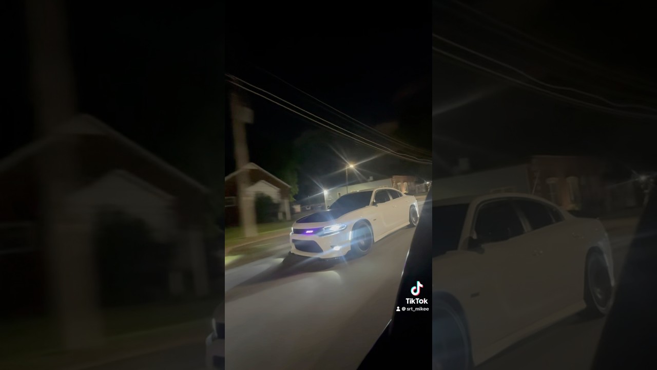 Catless Mid Pipes….                                                       