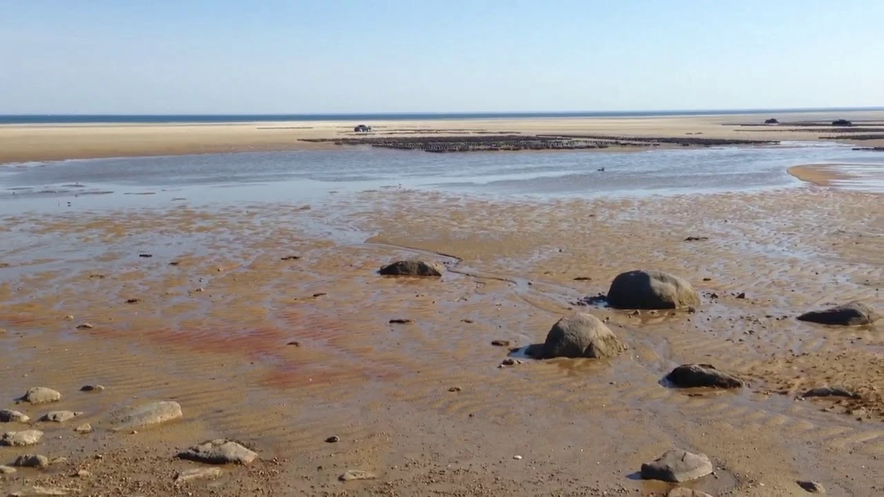 Crowes Pasture Dennis, MA May 2018 YouTube