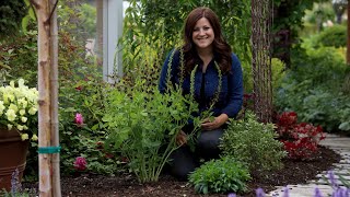 Planting Baptisia & a Tour of the Cottage Garden! 😍🌿// Garden Answer