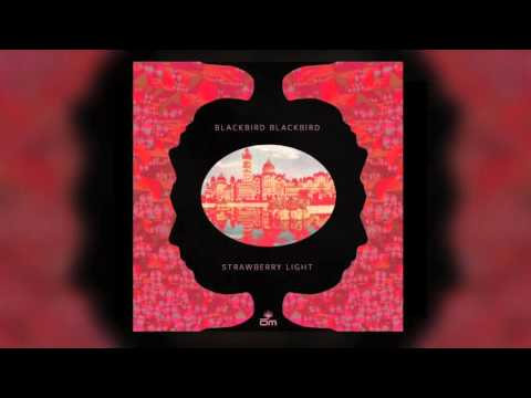 Blackbird Blackbird — Blackbird Blackbird - More Beautiful