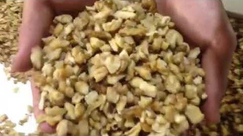 Walnut kernel grading,sorting machine(jromchen@hotmail.com )