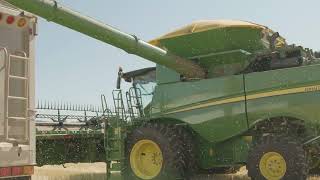 Greenwheat Freekeh Brand Video