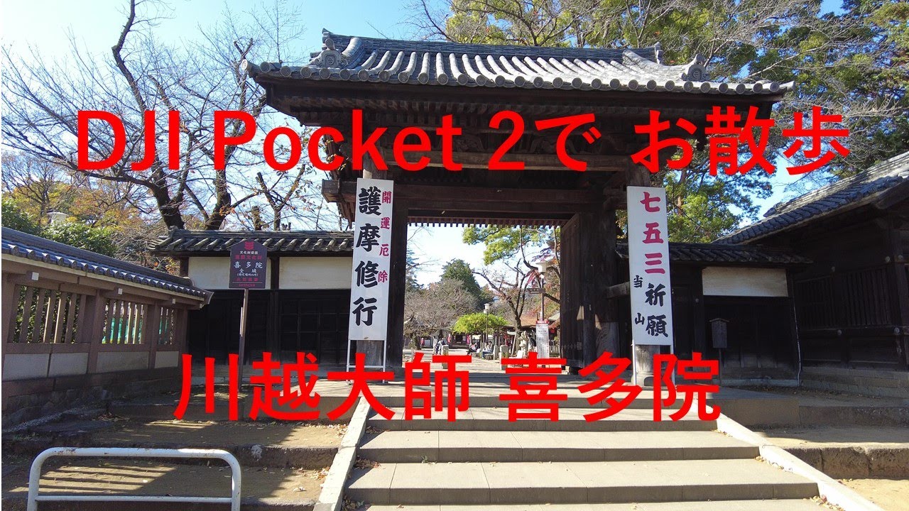 4k Dji Pocket 2 川越大師 紅葉の喜多院 お散歩 Youtube