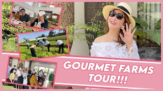 GOURMET FARMS TOUR WITH FAMILY AND FRIENDS | Small Laude