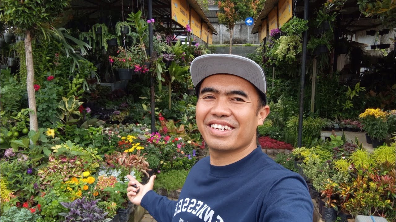 Blusukan di Lapak Bunga Terminal Bandungan banjir Tanhias mumbyuk² harga mulai 15 ribuan doang 