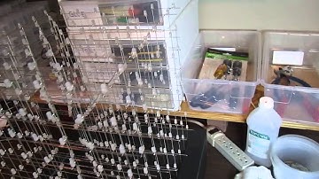 8x8x8 Blue LED Cube bonus video - Still wobbly