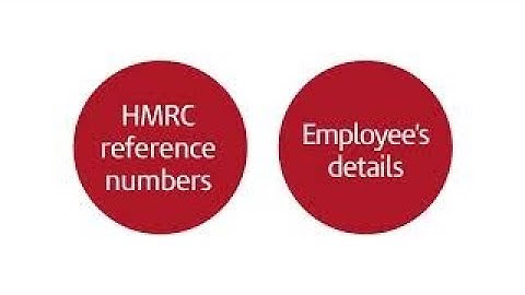 How do I use payroll software to send reports to HMRC?