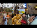 COZY OCTOBER VLOG | pumpkin picking, new halloween decor, fall baking, new nails, state fair
