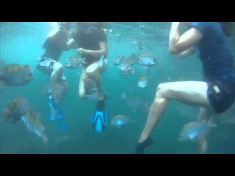 Snorkeling Los Arcos, Puerto Vallarta, Mexico