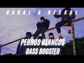 Cakal  reckol  perros blancos bass boosted