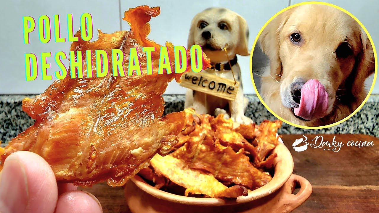 🥓Pollo Deshidratado|Snacks|Premios para Perros🐕 #recetas  #pollo #chicken #snacks #dogfood