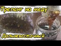 Трепанг на меду / Морской бой против болезней! /  Дальневосточный морской огурец.