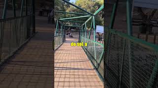 Assim como a sombra das árvores do Comenda Park protege d...
