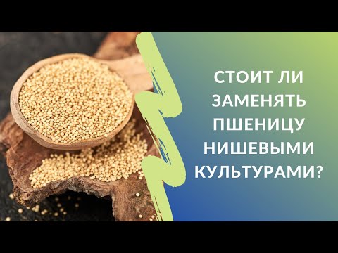 Стоит ли заменять пшеницу нишевыми культурами? Аналитик о рынке зерна