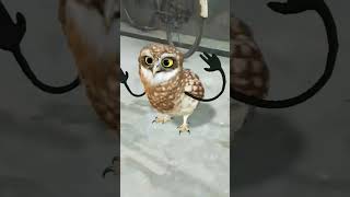 Ullu Dance