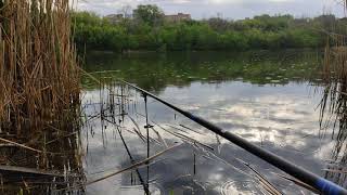 Второй городской водоем, г. Донецк 15.05.2021