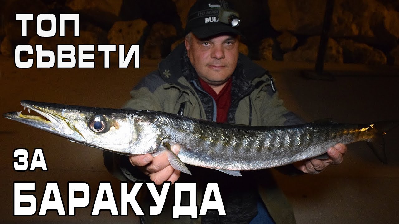 Топ съвети за риболов на баракуда