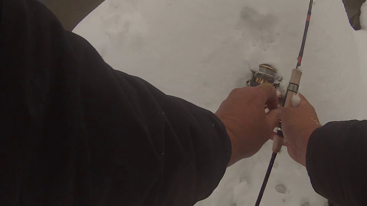 Big Bear trout in the snow YouTube