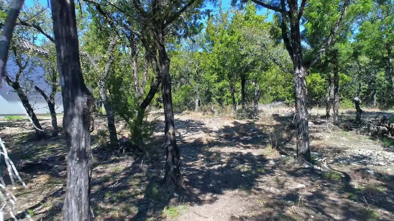 Stunning Dominion Property