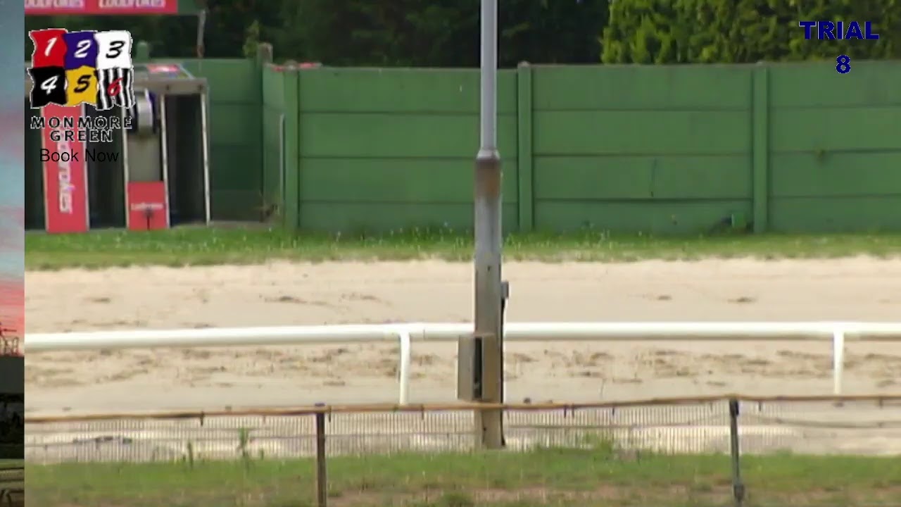 Monmore Green Stadium Live Trials 08/07/2021 YouTube