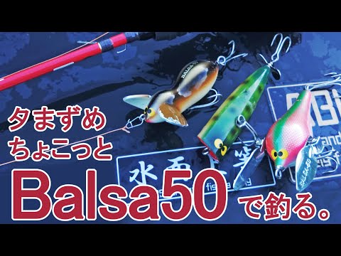 m*s様 バルサ50 則弘祐 著書 バスストップ トップウォーターバス釣り 二冊 Yahoo!オークション -「則弘祐」の落札相場・落札価格
