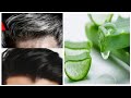 White Hair To Black Naturally  in 4 minutes |Gray hair turn to black hair permanently with Aloe vera