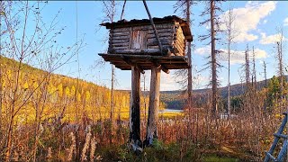 В ТАЙГУ НА НЕДЕЛЮ (день 4). Атака на МЫШЬ крупным планом. Рыбалка на таёжной реке в Сибири. Сплав.