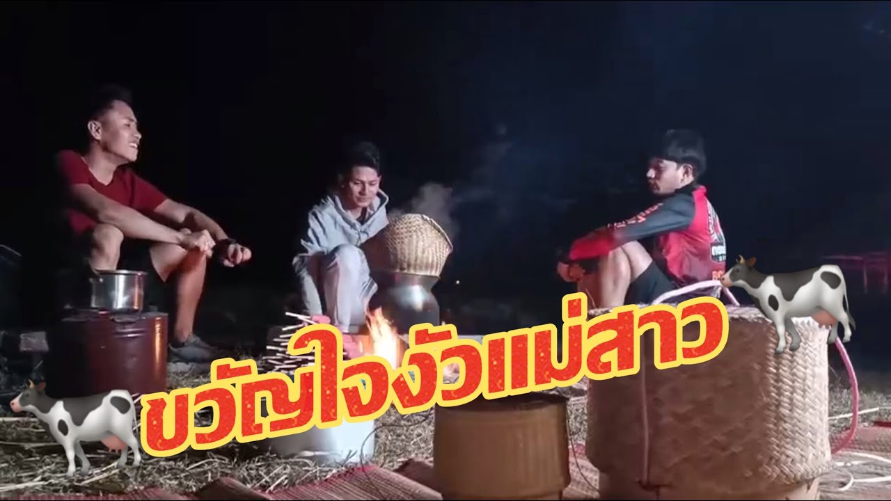 ตามปะสาหนุ่มๆทีมงาน 🐄ขวัญใจงัวแม่สาว🐄 #หนึ่งผลาญชัย #นิวมุกดา #เปิดดากจ้วด