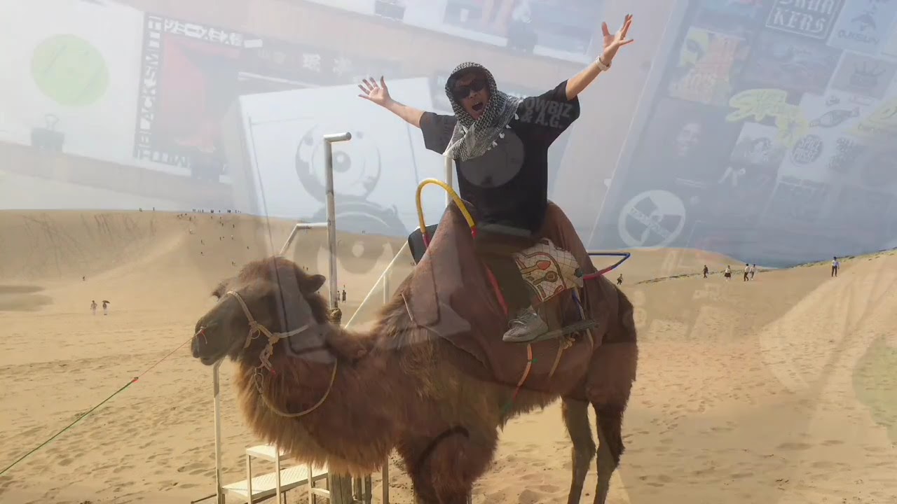 YOU THE ROCK☆ BOX - MAD520