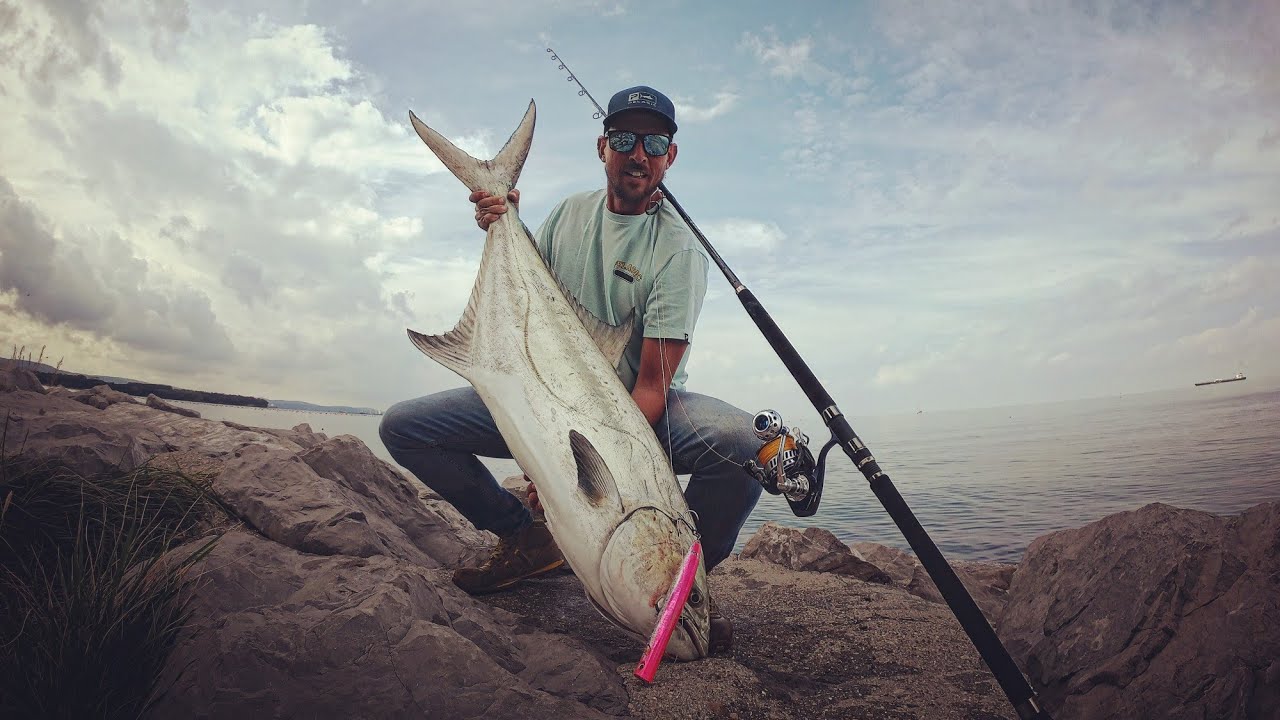 20 kg leerfish from shore