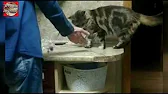 Анекдоты-live