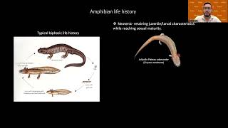 Wild Neighbors Speaker Series: "Diversity and Evolution of Texas Salamanders"
