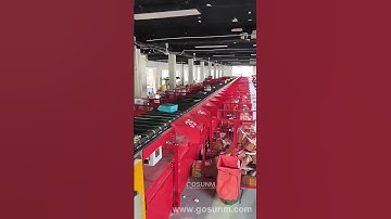 High Speed Linear Narrow Belt Cross DWS Sorting System #ParcelSorter #DWS #narrowbeltsorter