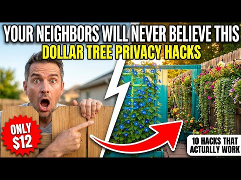 "10 Dollar Tree Privacy Hacks That Actually Work — No Bamboo, No Lattice, No Nonsense!"